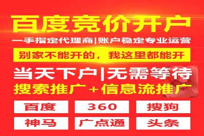 某公司如何通过SEM实现精准营销——从策略到执行的完整案例